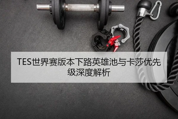 TES世界赛版本下路英雄池与卡莎优先级深度解析
